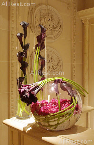 Hotel Four Seasons George V 50